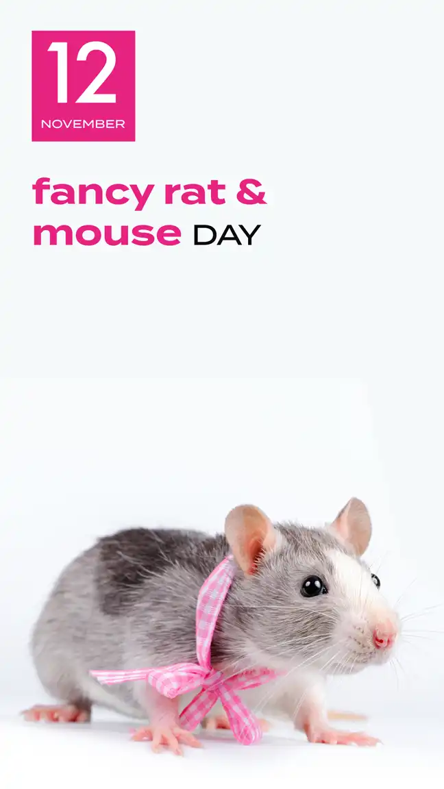 Fancy Rat Day