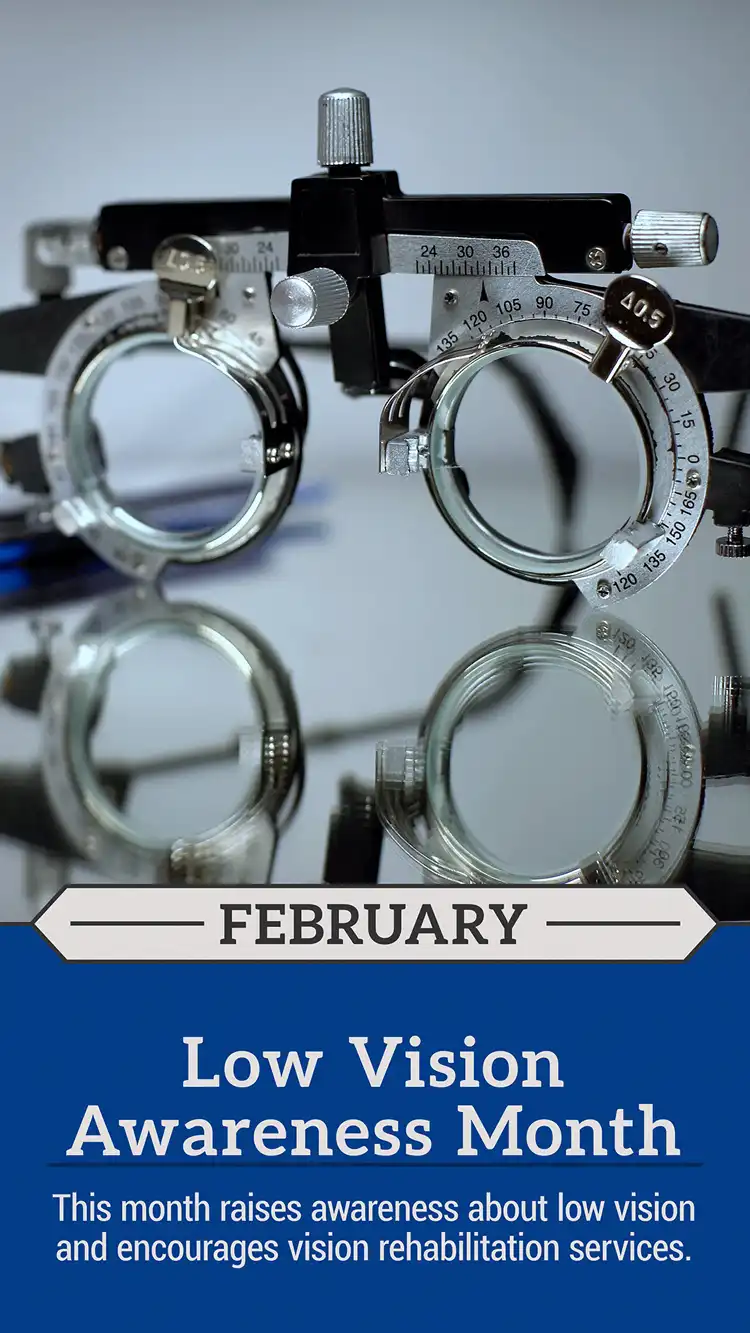 Low Vision Month