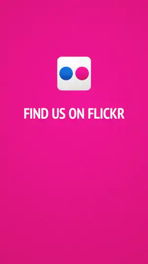 Social Media  Flickr 01