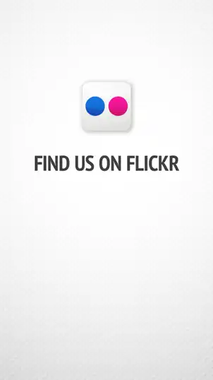 Social Media  Flickr 02