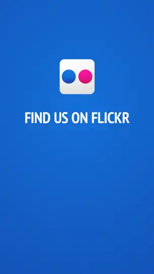 Social Media  Flickr 03