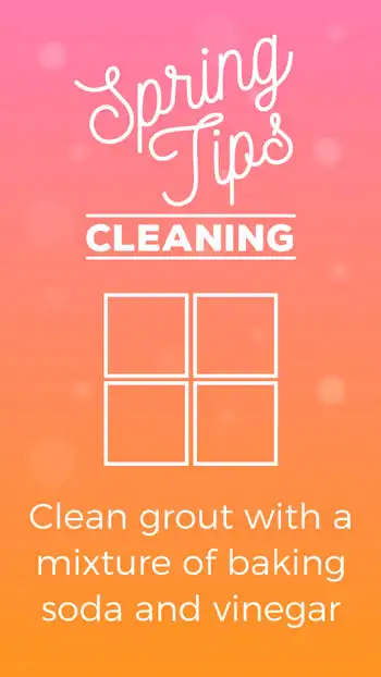 Seasonal Tips  Spring