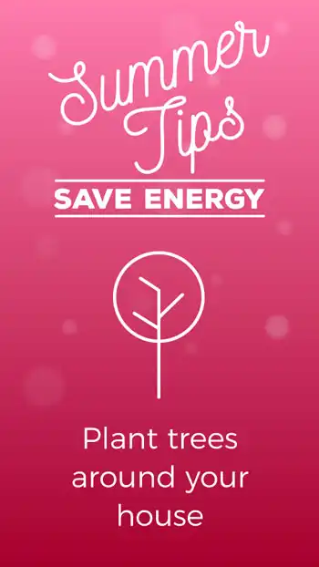 Seasonal Tips  Summer