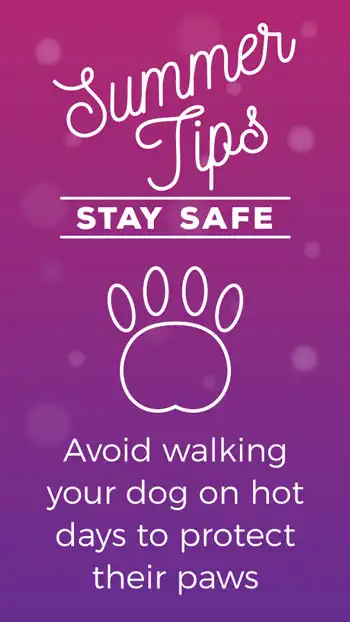 Seasonal Tips  Summer