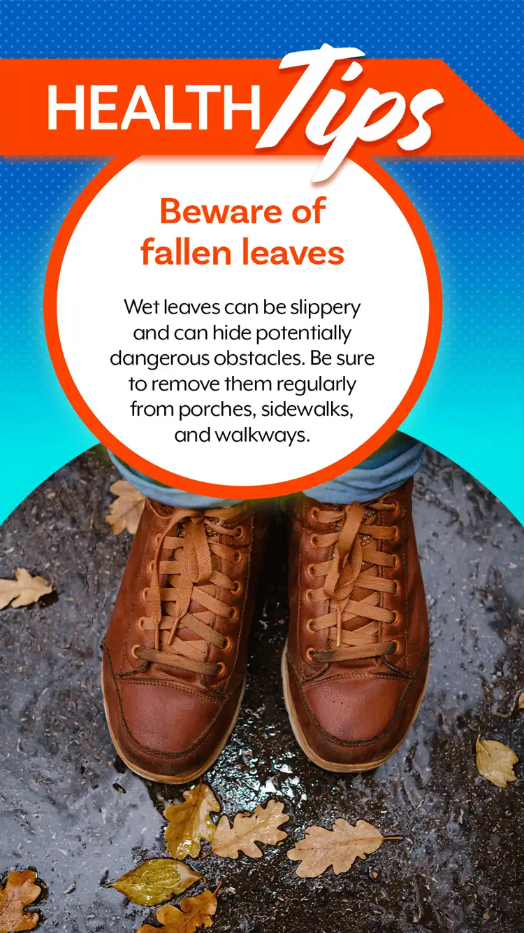 Health Tips  Fallen Leaves