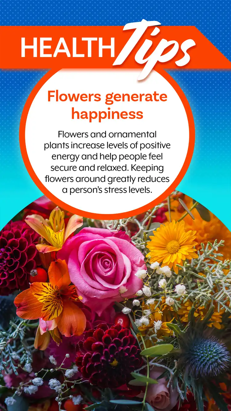 Health Tips  Flowers