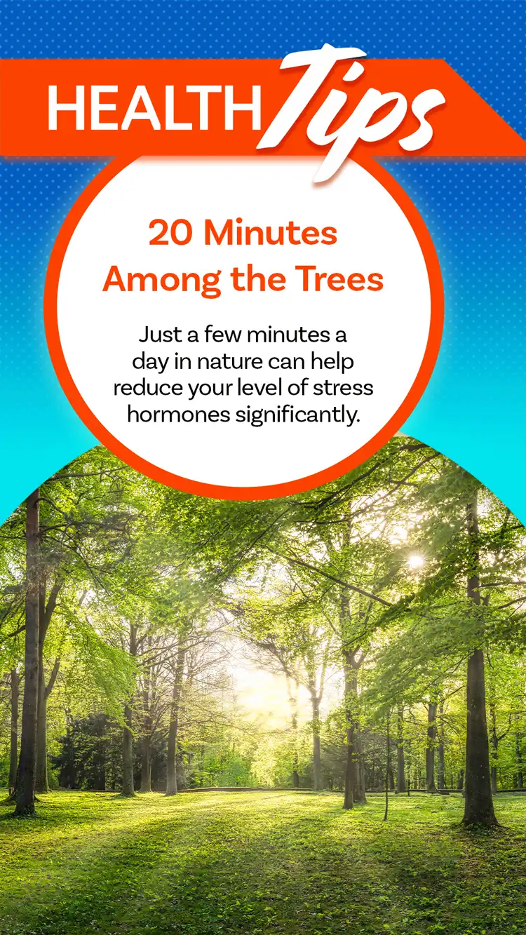 Health Tips  In The Trees