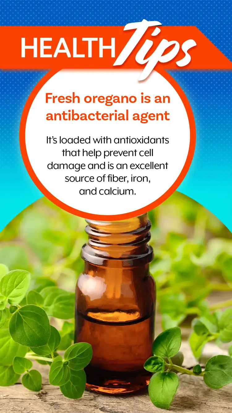 Health Tips  Oregano