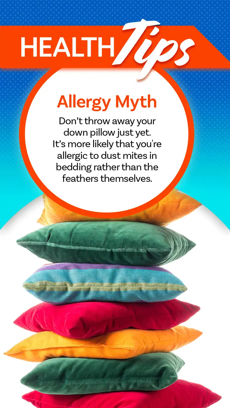 Health Tips  Pillow Allergy