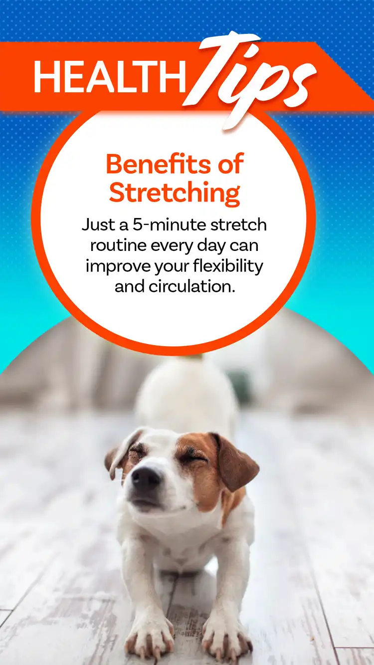 Health Tips  Stretching