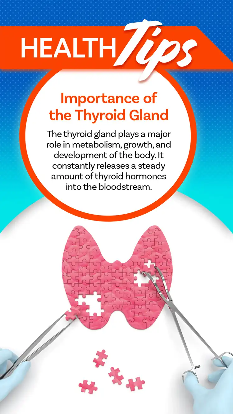 Health Tips  The Thyroid