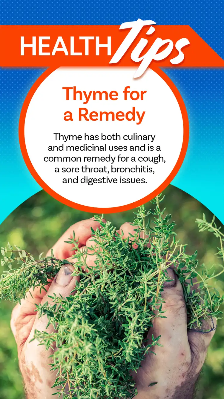 Health Tips  Thyme
