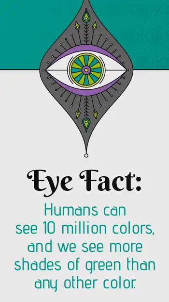 Ophthalmology  Eye Fact  Green