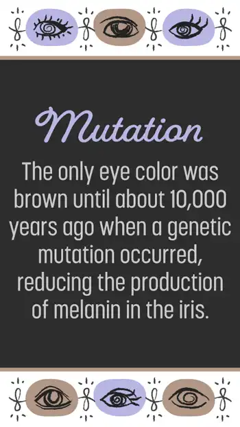 Ophthalmology  Info  Genetic Mutation