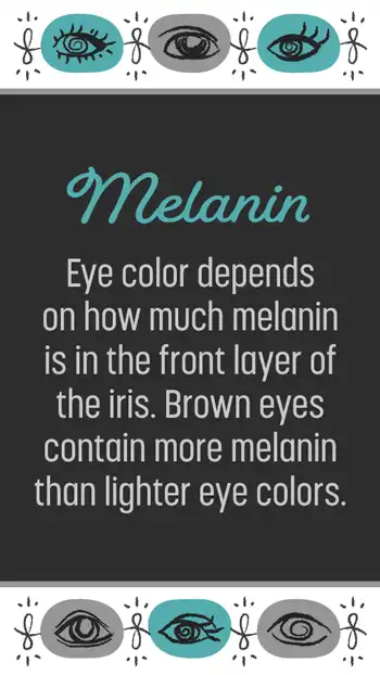 Ophthalmology  Info  Melanin