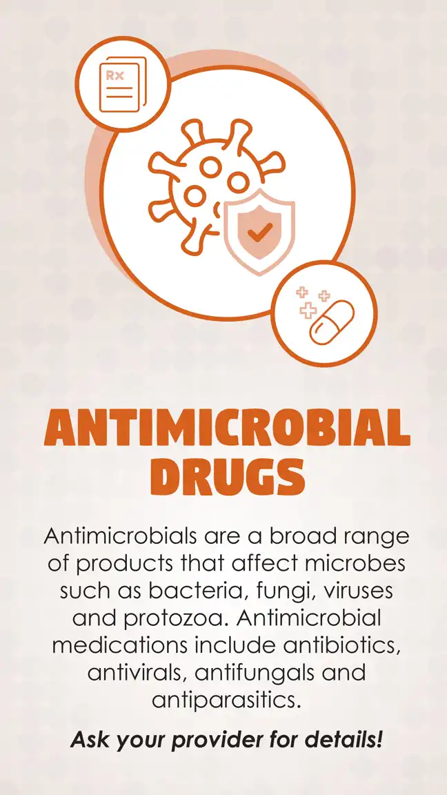 Antimicrobrial Drugs 3
