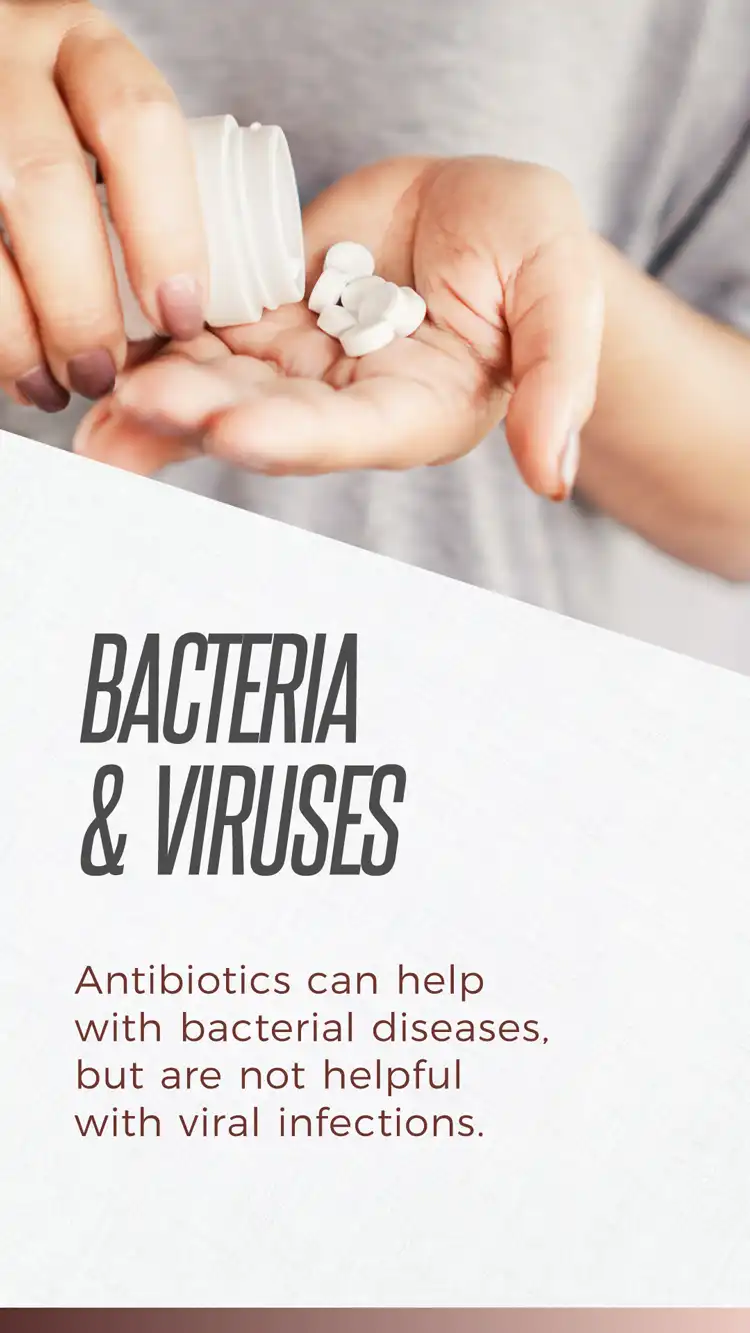 Bacteria Antibiotic