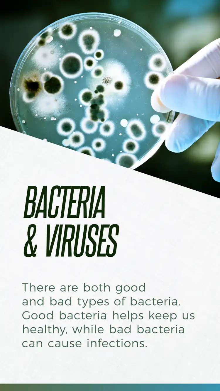 Bacteria Good