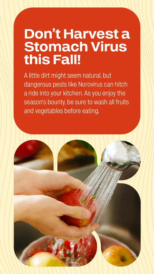 Fall Health  Wash