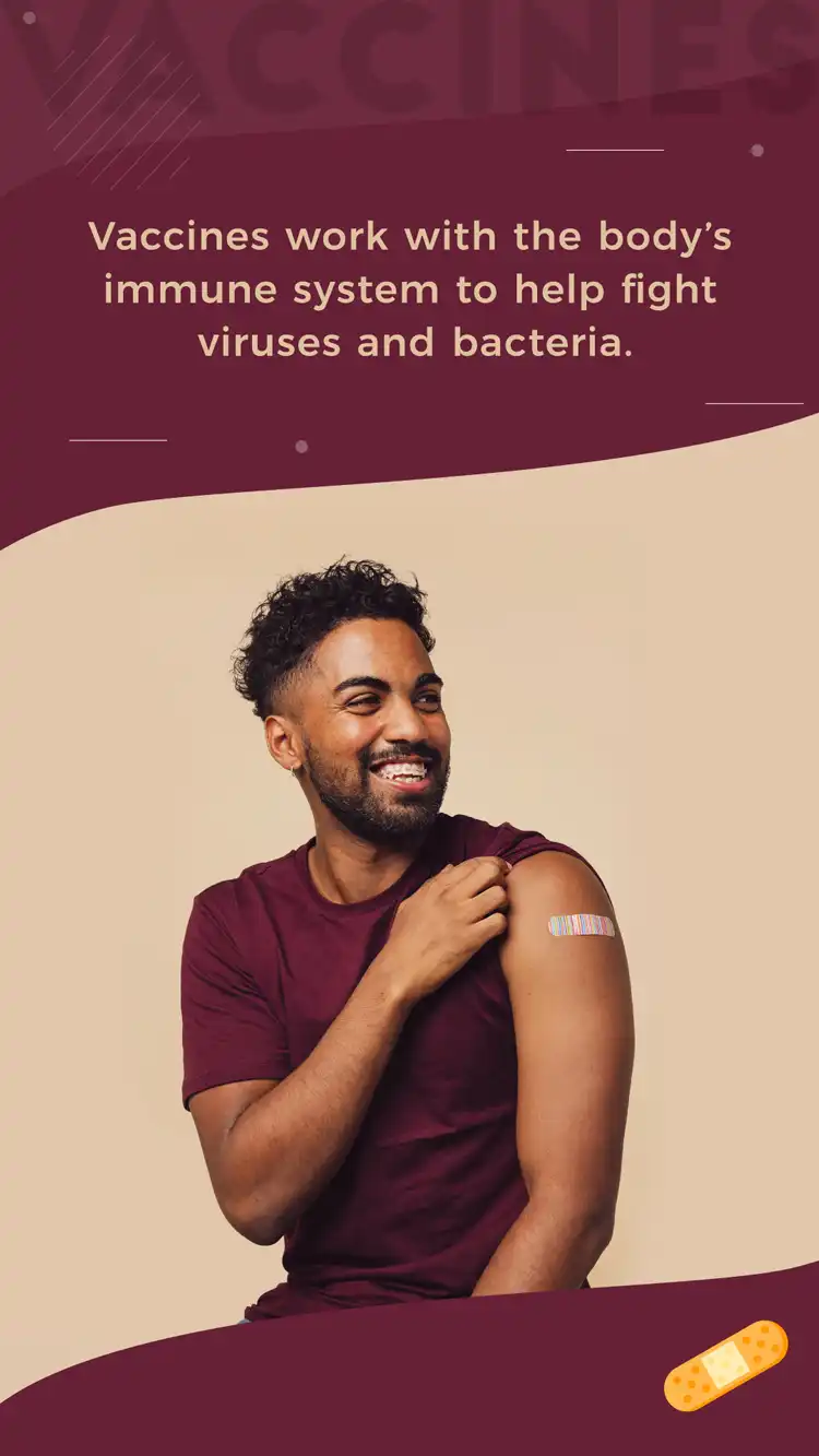 Vaccine Immune System