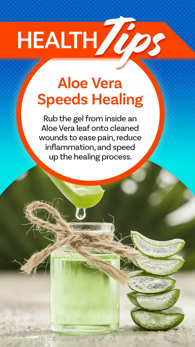 Health Tips  Aloe Vera
