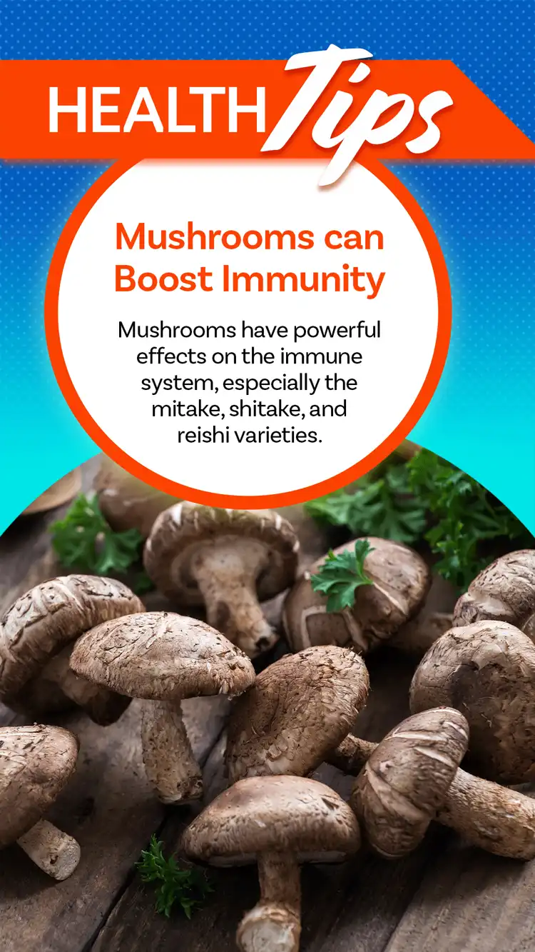 Health Tips  Mushrooms