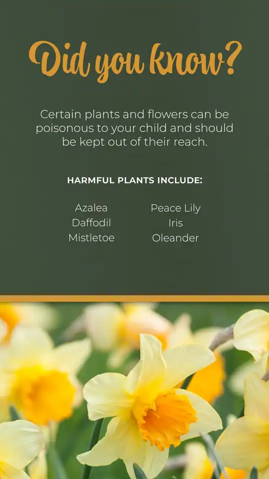 Pediatric  Safety Prevention  Flowers