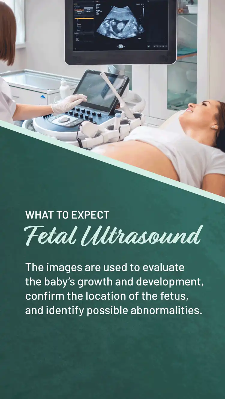 Womens Health  Fetal Ultrasound