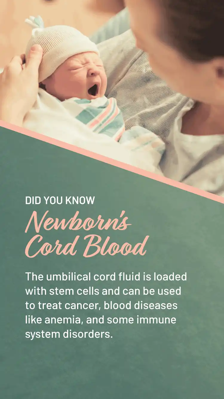 Womens Health  Umbilical Cord