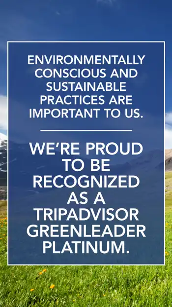 Eco Friendly  Trip Advisor Green Leader Platinum