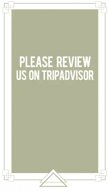 Review Trip Advisor