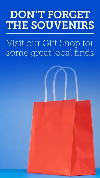 Amenities  Gift Shop