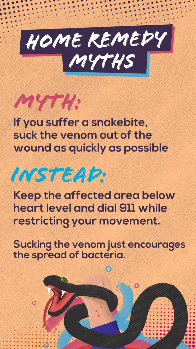 Pharmacy Home Remedy Myths Snakebite