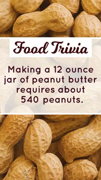 Food Trivia