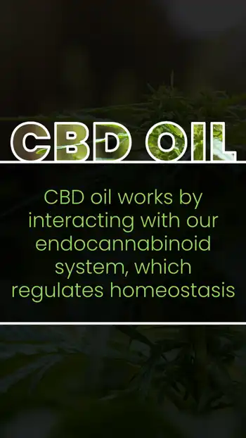 CBD Oil