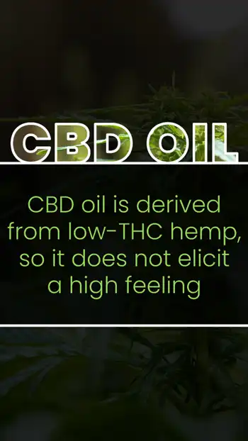CBD Oil