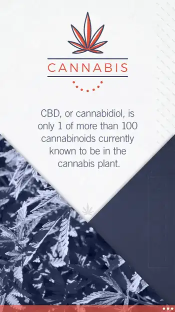 Education  Cannabinoids