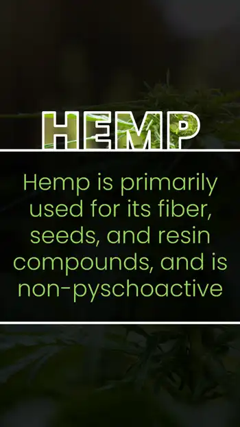 Hemp