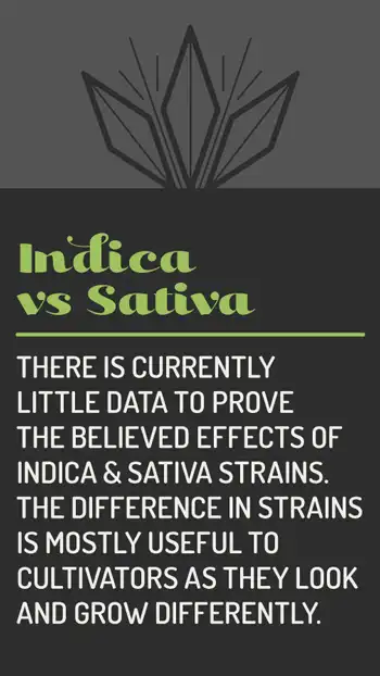 Indicavs Sativa