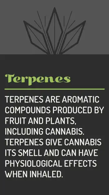 Terpenes
