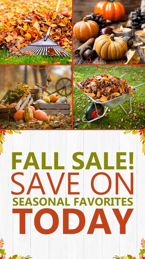 Seasonal Savings Fall