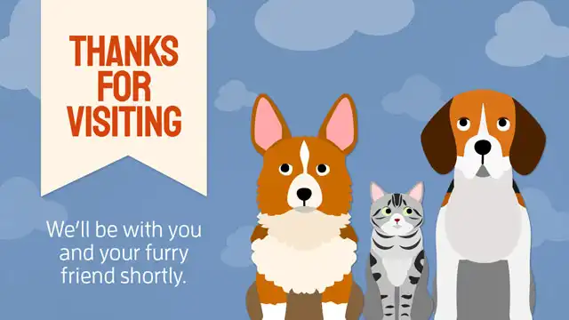 Thank Youfor Visiting