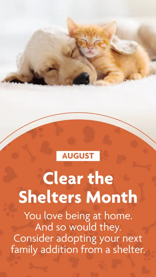 Clear The Shelters Month
