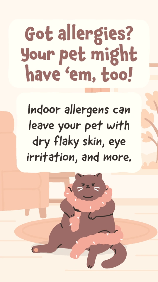 Fall Winter Pet Safety 4