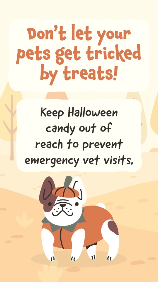 Fall Winter Pet Safety 5