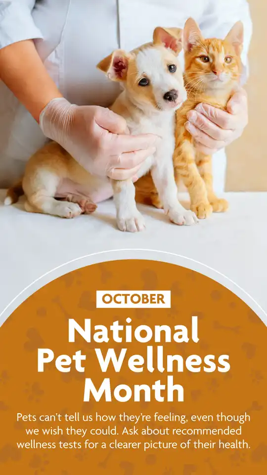 National Pet Wellness Month