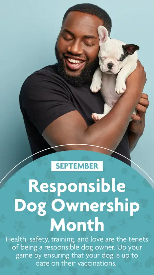 Responsible Dog Ownership Month
