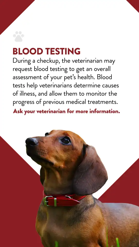 Office  Blood Testing