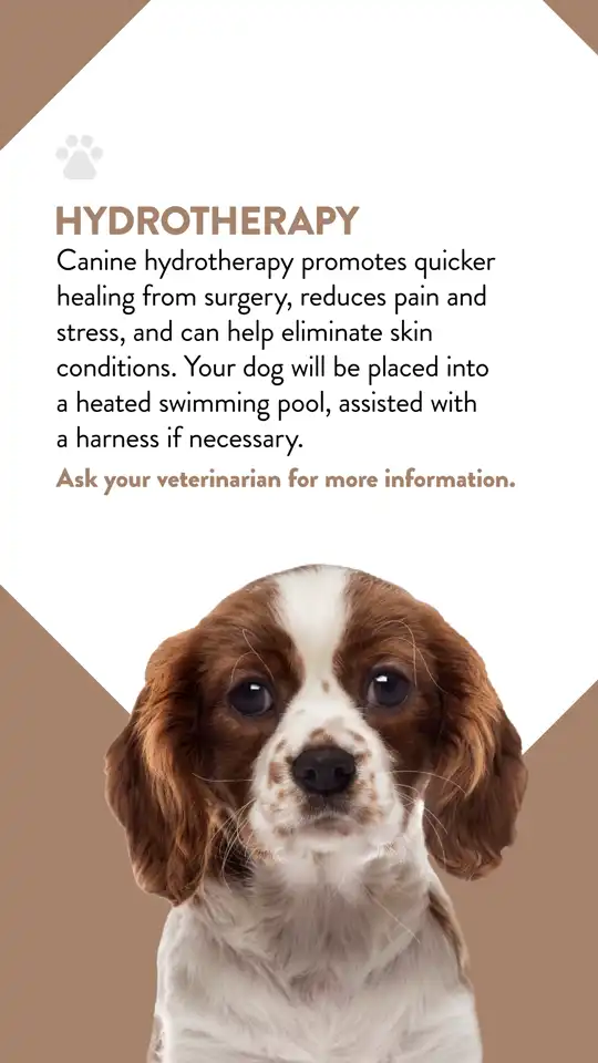 Office  Hydrotherapy