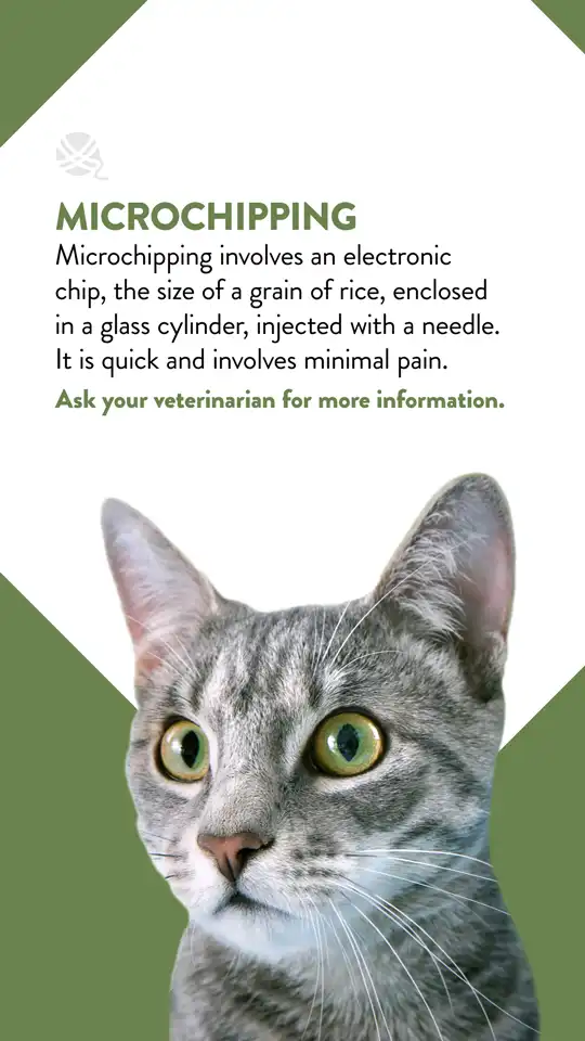 Office  Microchipping